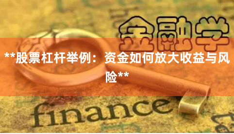 **股票杠杆举例：资金如何放大收益与风险**